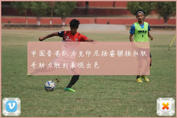 中国香港队力克印尼杨睿骐杨和联手助力胜利表现出色